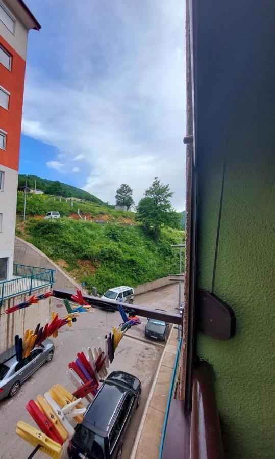 Apartman Pavle 普卢日内 外观 照片