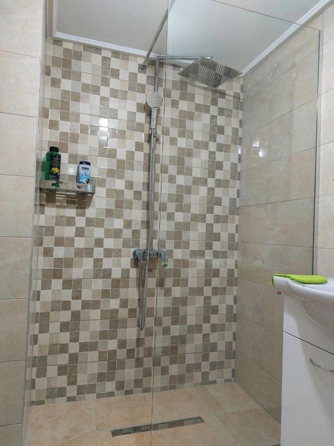Apartman Pavle 普卢日内 外观 照片