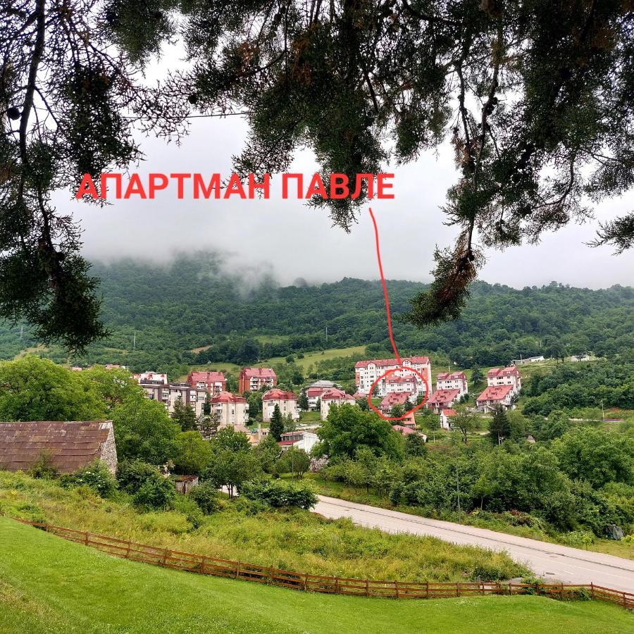 Apartman Pavle 普卢日内 外观 照片