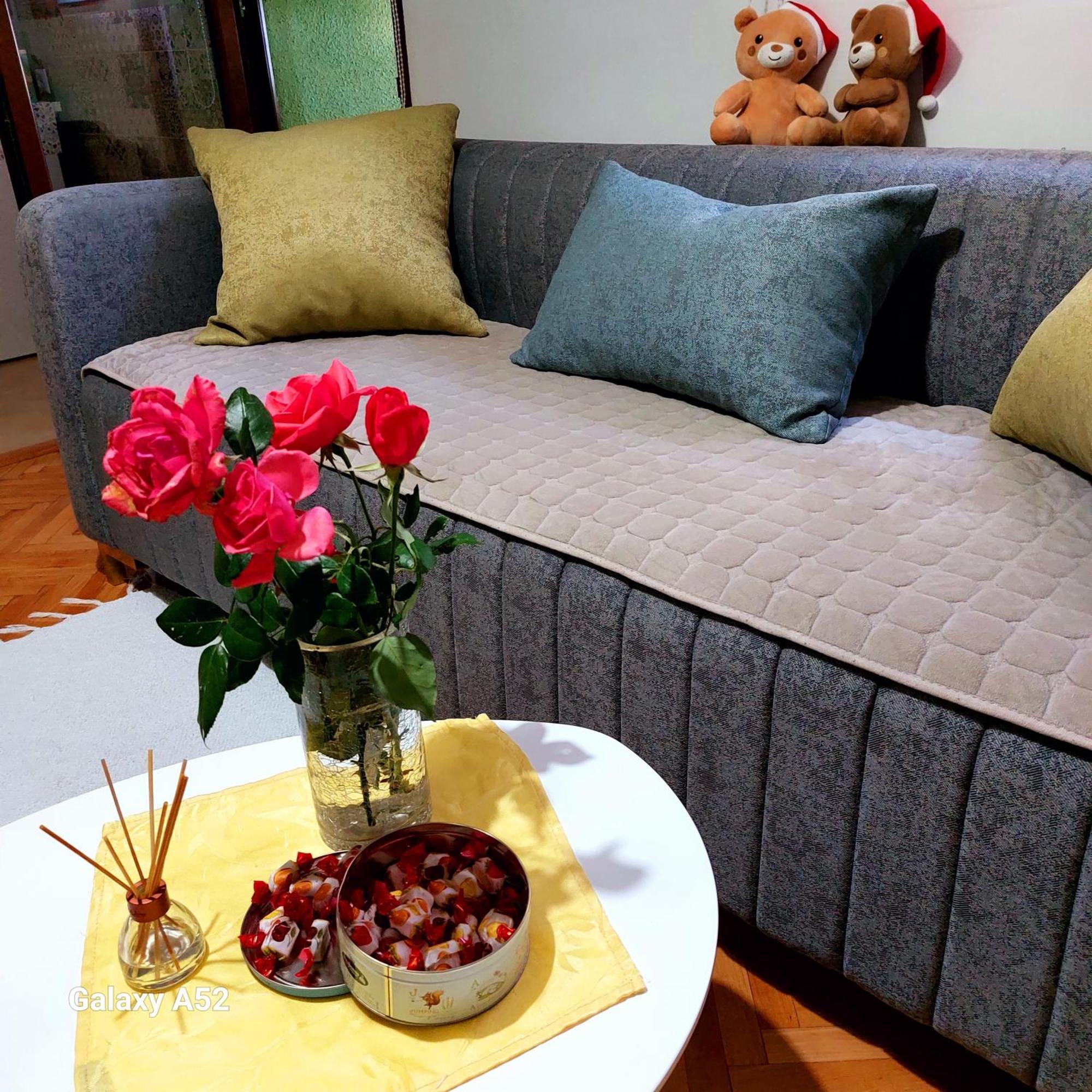 Apartman Pavle 普卢日内 外观 照片