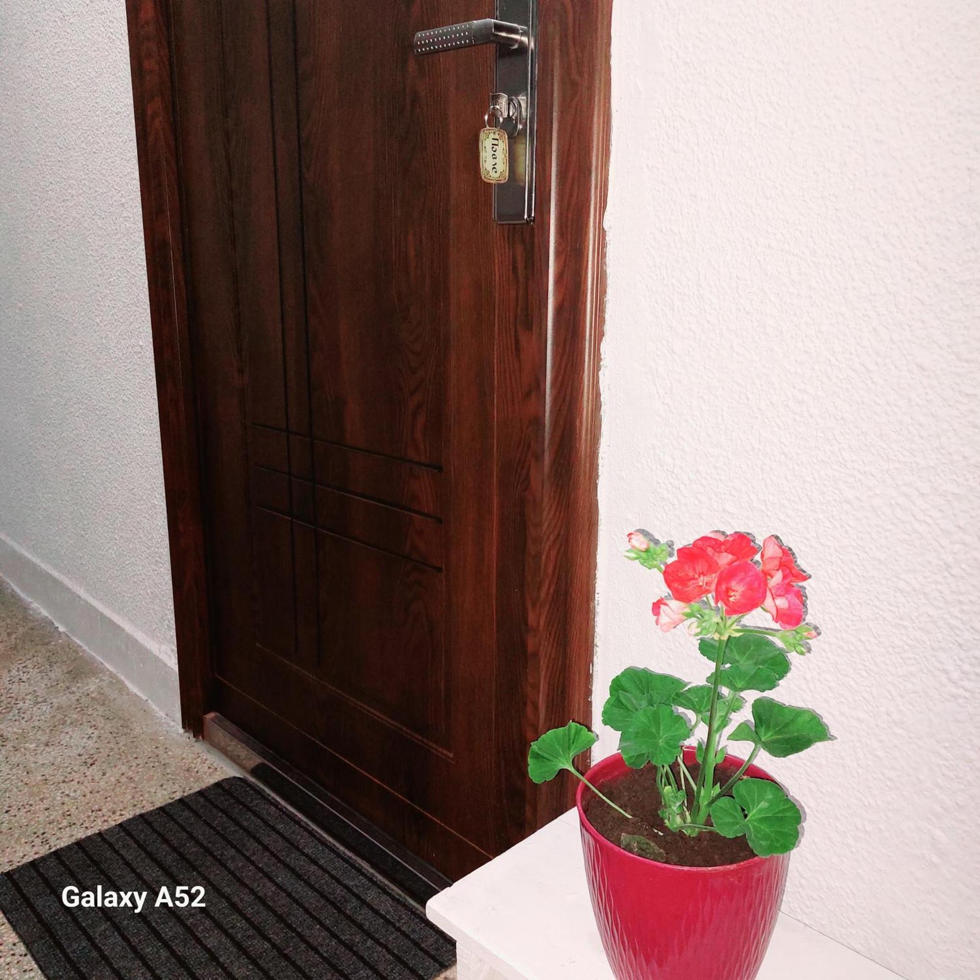 Apartman Pavle 普卢日内 外观 照片