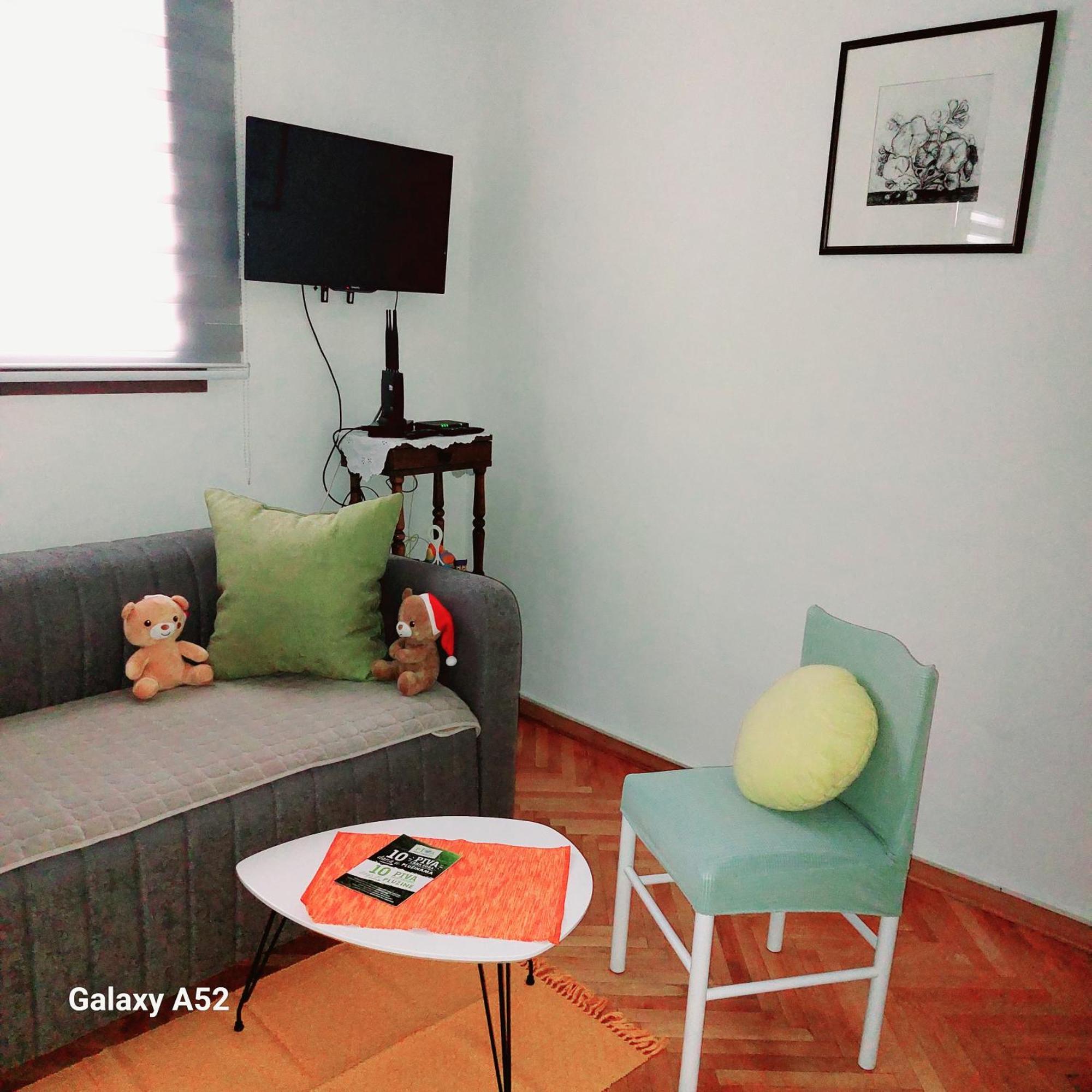 Apartman Pavle 普卢日内 外观 照片