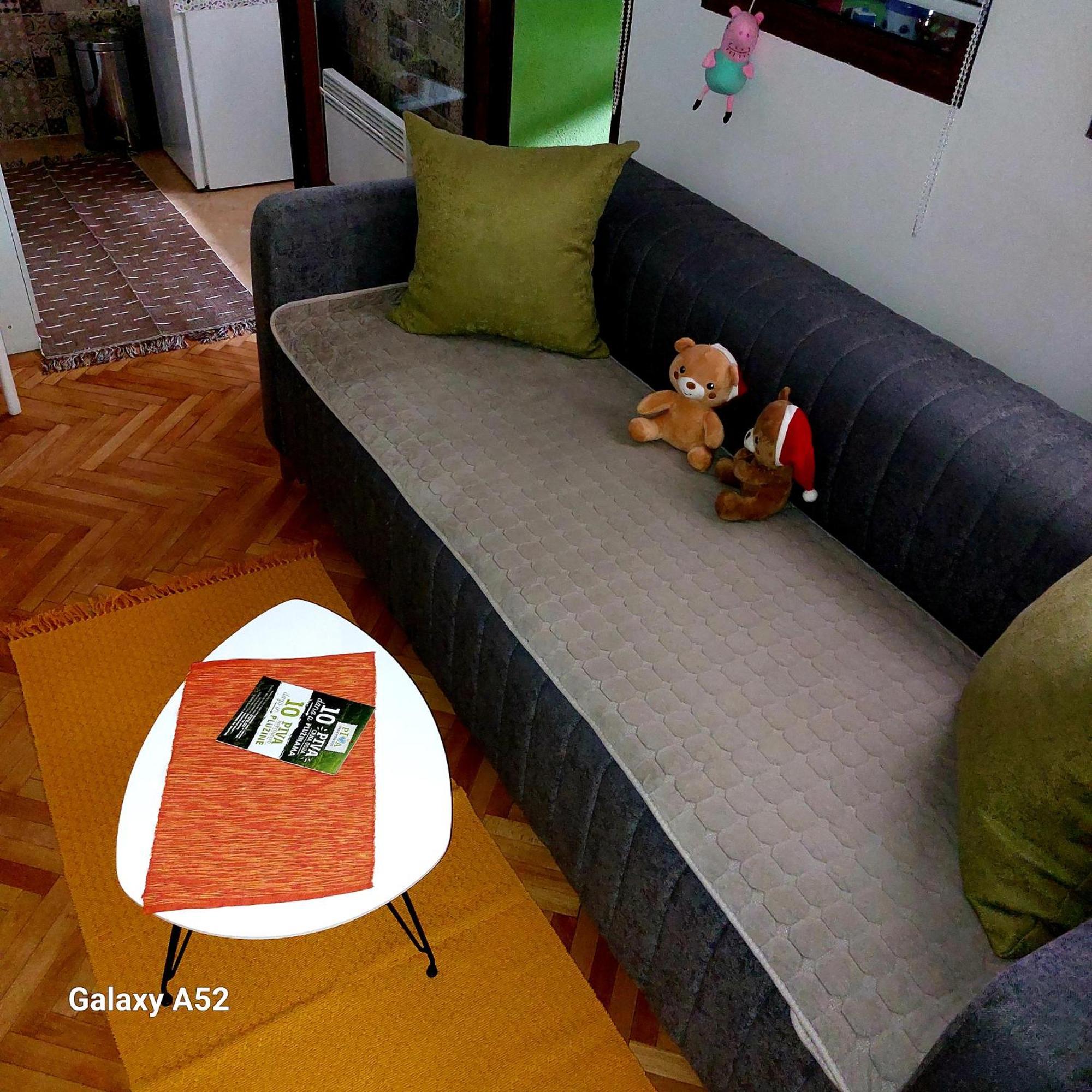 Apartman Pavle 普卢日内 外观 照片